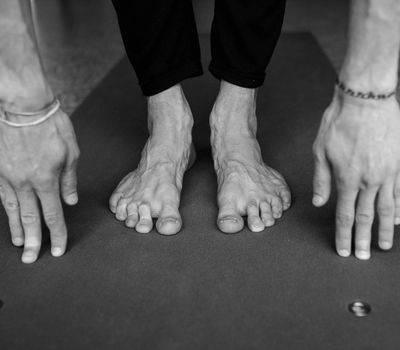 Close-up of hands and feet during a yoga practice.